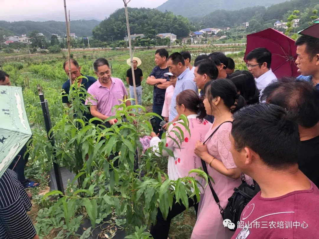 培育新型職業(yè)農(nóng)民 助推鄉(xiāng)村振興——寧鄉(xiāng)市農(nóng)廣校在我中心開(kāi)展新型職業(yè)農(nóng)民培育水果專(zhuān)題班(圖16)