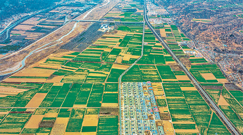 錨定建設(shè)農(nóng)業(yè)強(qiáng)國目標(biāo) 切實(shí)抓好新時代新征程“三農(nóng)”工作--唐仁健(圖1)