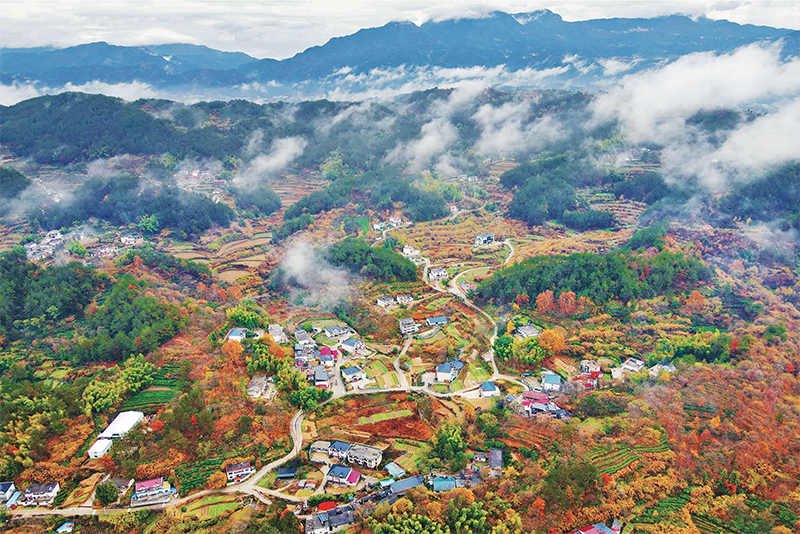 錨定建設(shè)農(nóng)業(yè)強(qiáng)國目標(biāo) 切實(shí)抓好新時代新征程“三農(nóng)”工作--唐仁健(圖3)